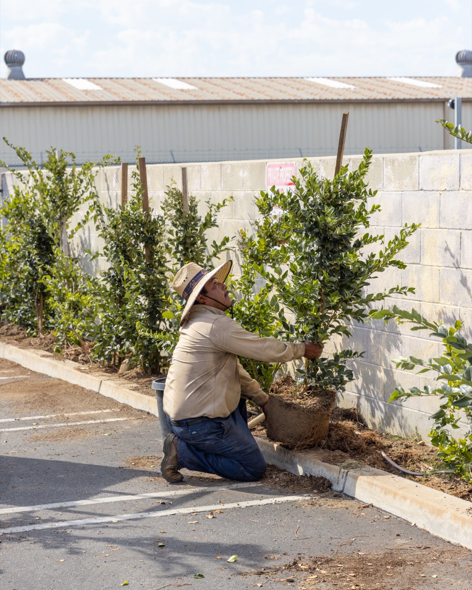 VHH crew maintaining commercial landscaping